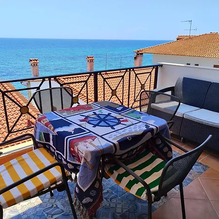 Navy Blue نيا سكيوني